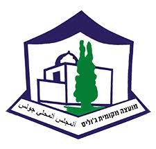 מועצה מקומית ג׳וליס