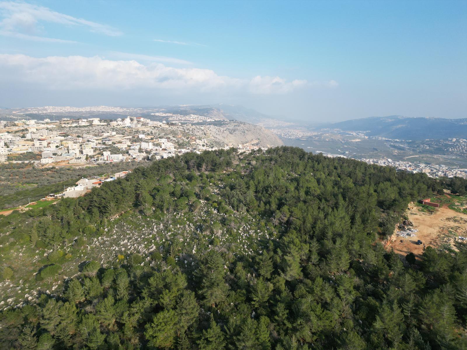 פרויקט דיר אל־אסד - תוואי השטח